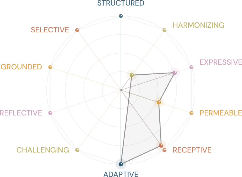 Cara Steinmann's SHEER personality constellation, plotting traits including adaptive, expressive, receptive and permeable